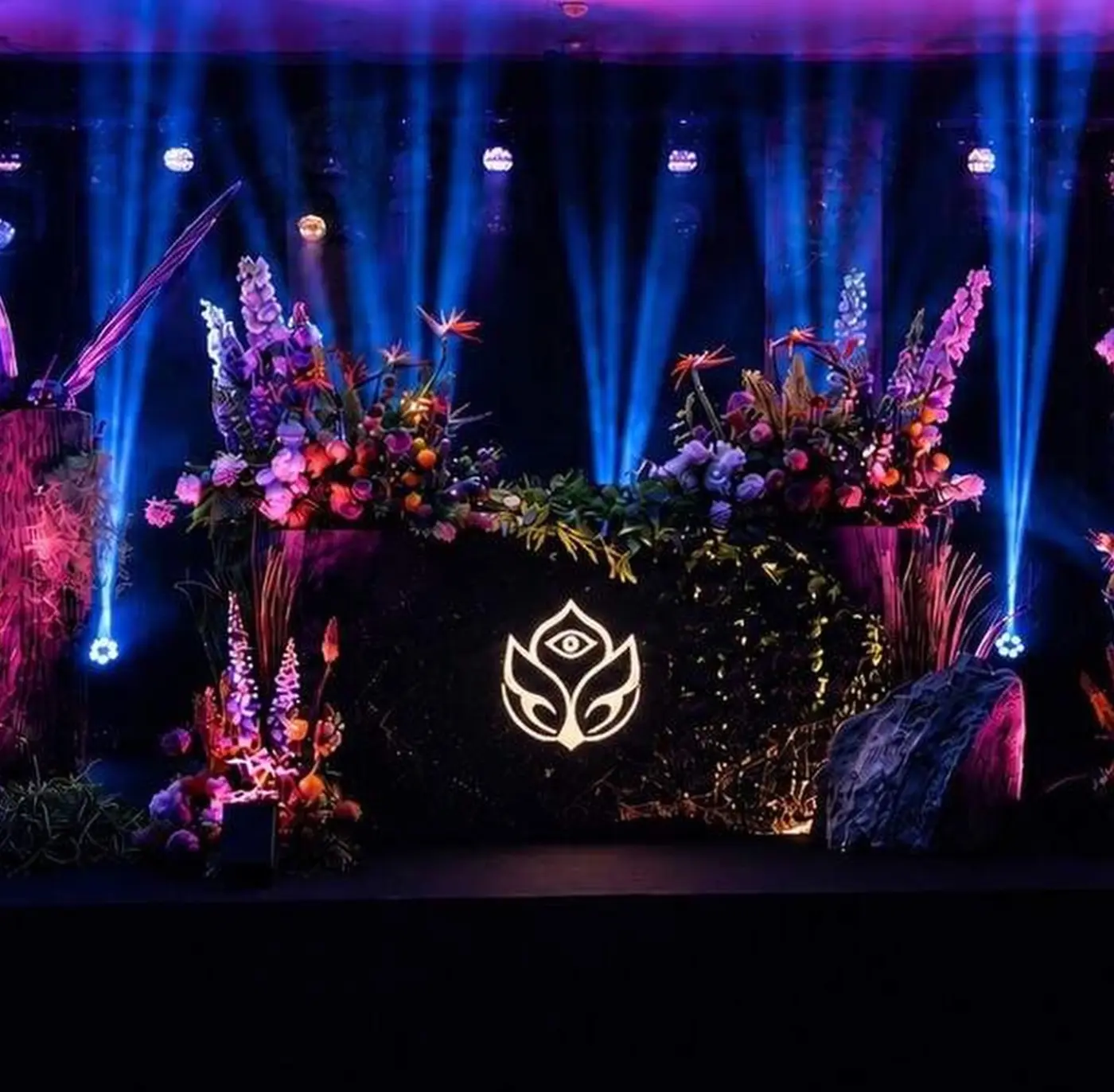 Do altar à Tomorrowland: casal faz casamento temático e escolhe o festival como lua de mel