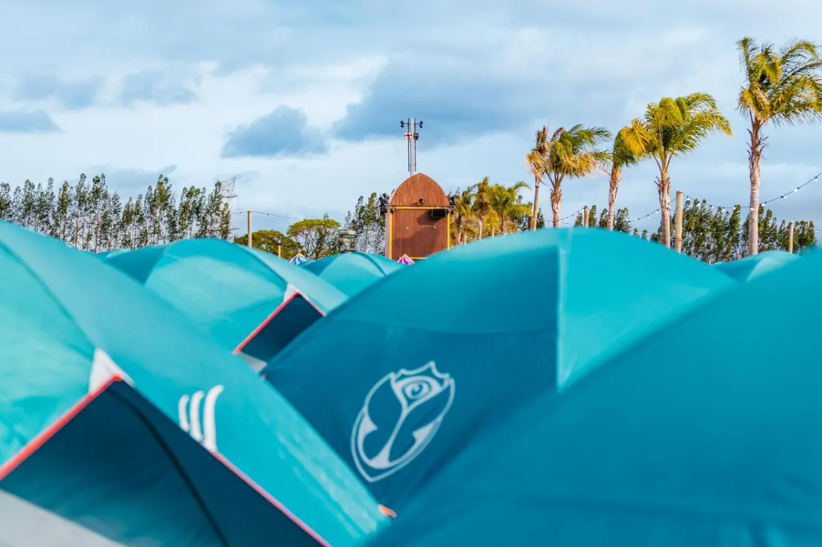 Vida Nova - Tomorrowland Brasil